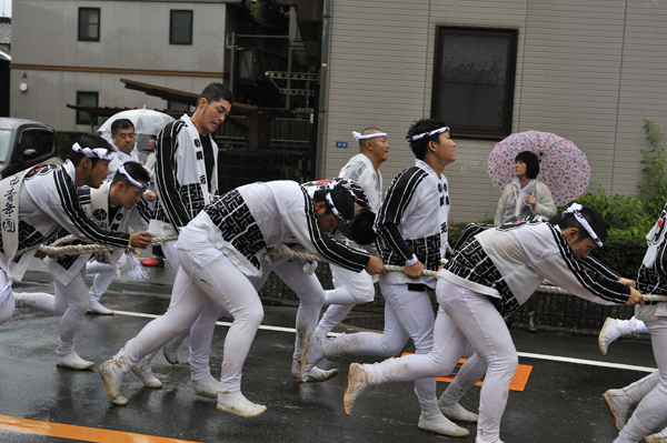  񂶂 2010 s p[h j
